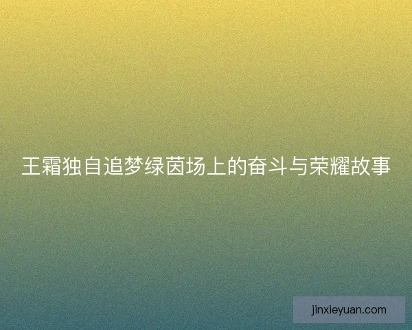 王霜独自追梦绿茵场上的奋斗与荣耀故事